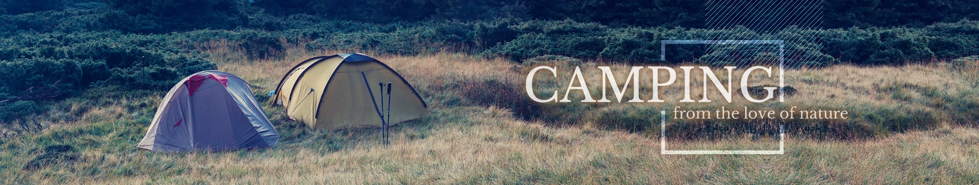 inner_banner_type1.webp